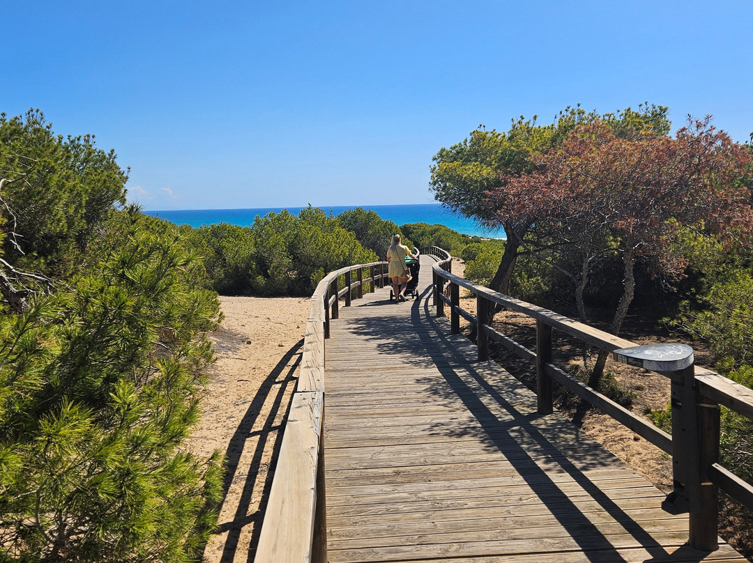 Playa El Campo景点图片