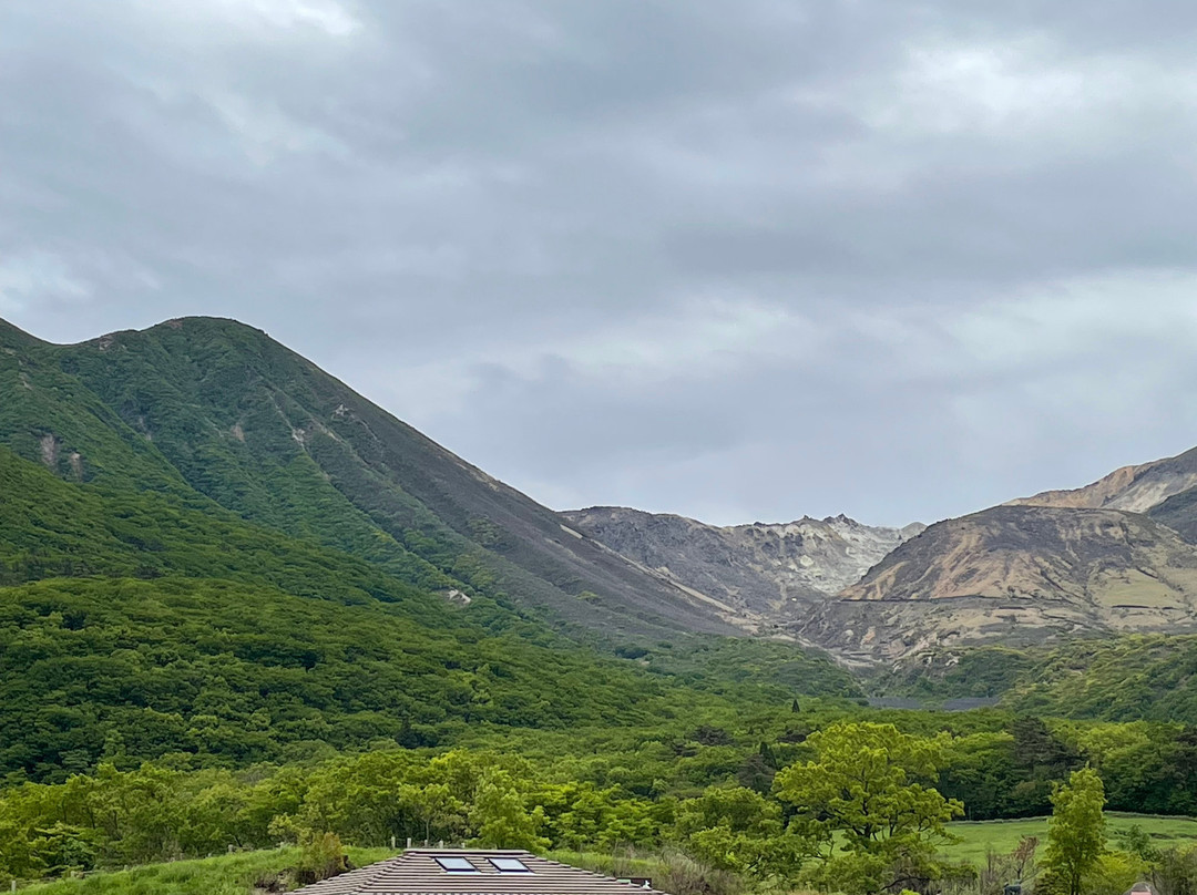 Tadewara Wetlands景点图片