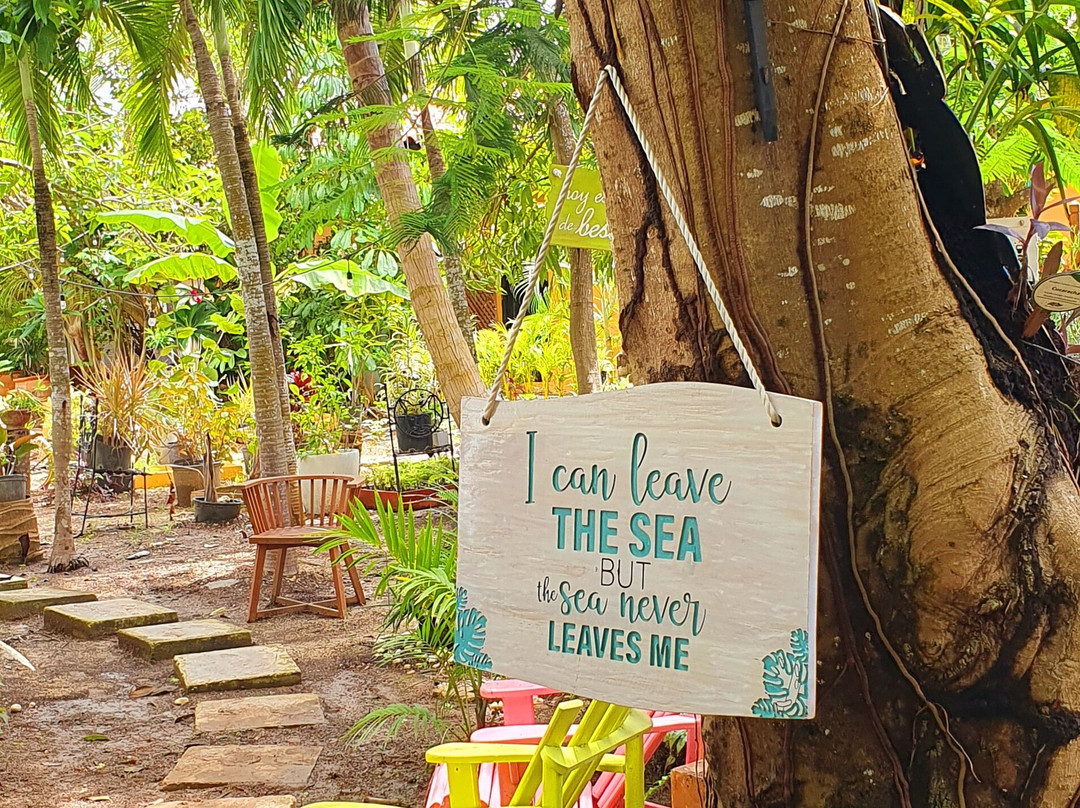 Catalonia Bayahibe主图