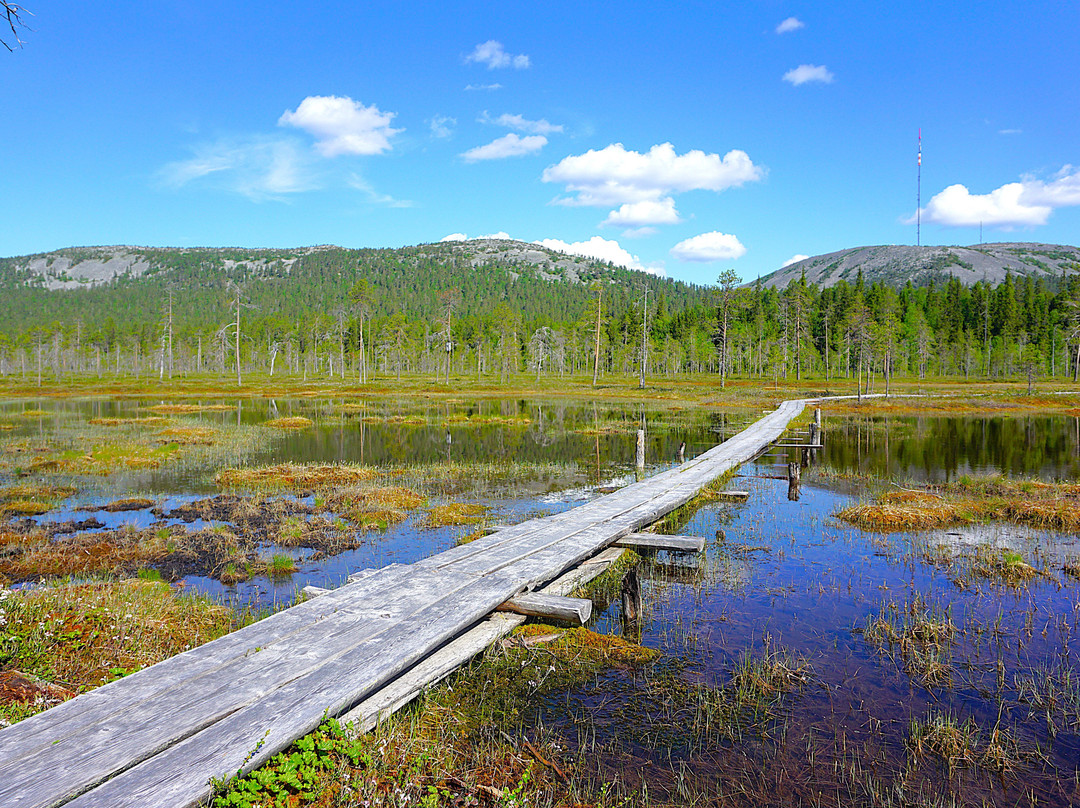 Pyhä Ski Resort-Pelkosenniemi必去景点