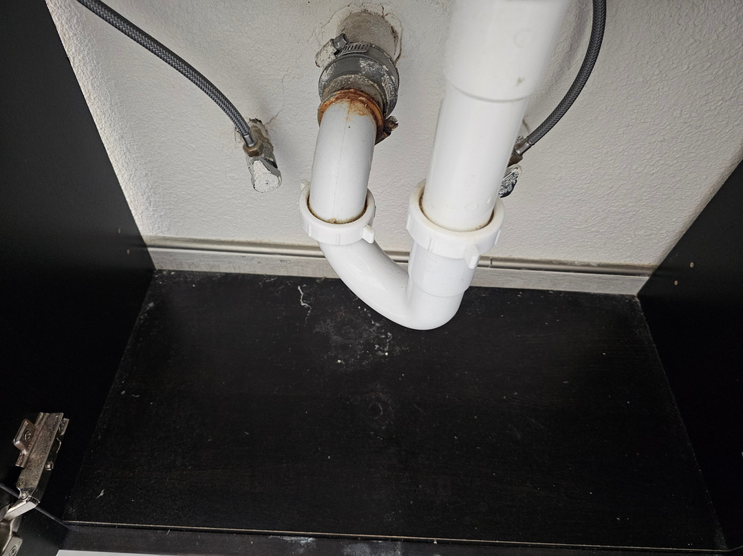 The Palomar Inn主图