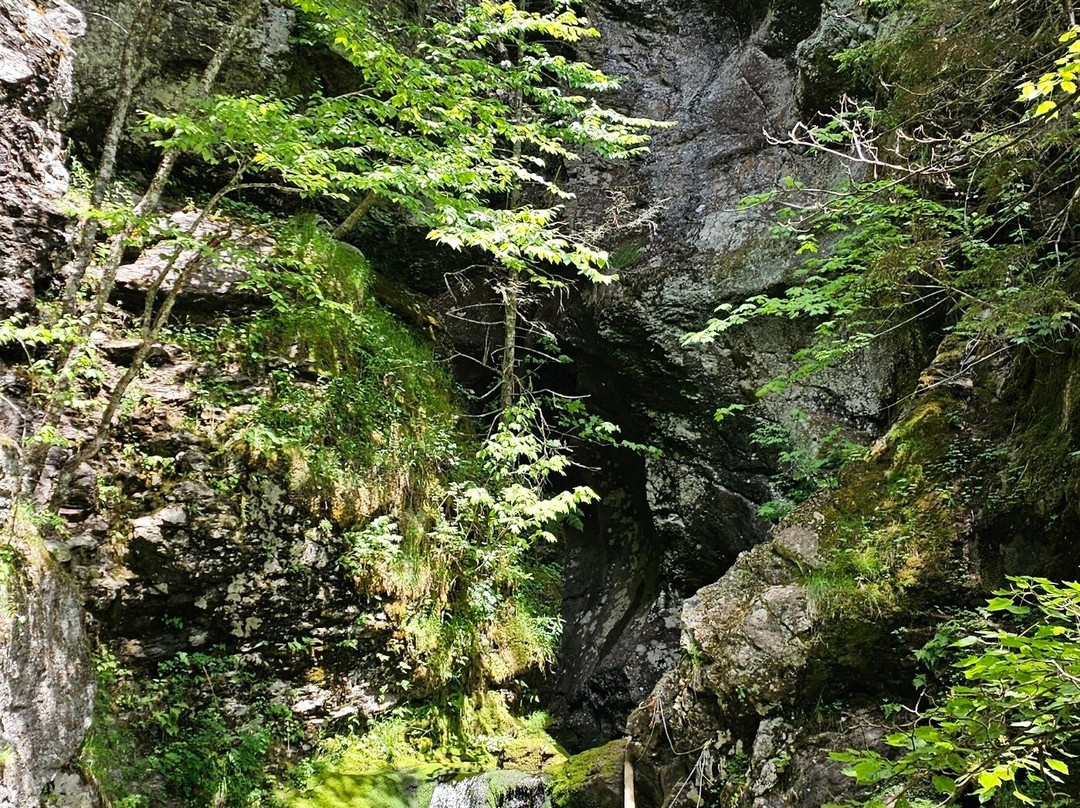 Ward Falls景点图片