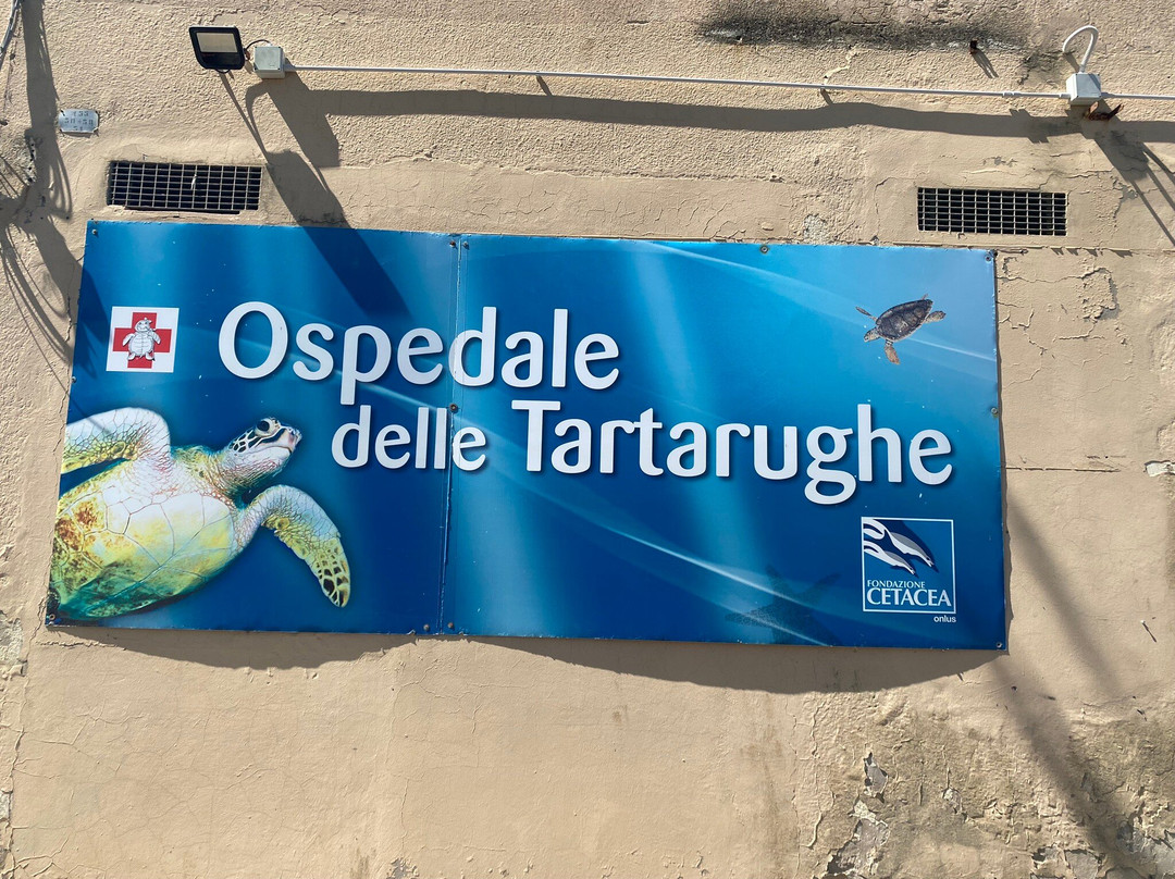 Ospedale delle Tartarughe景点图片