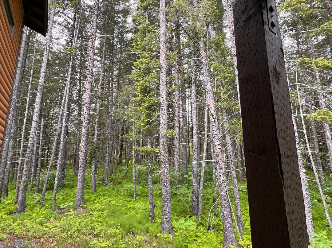 苏华德风歌旅舍主图