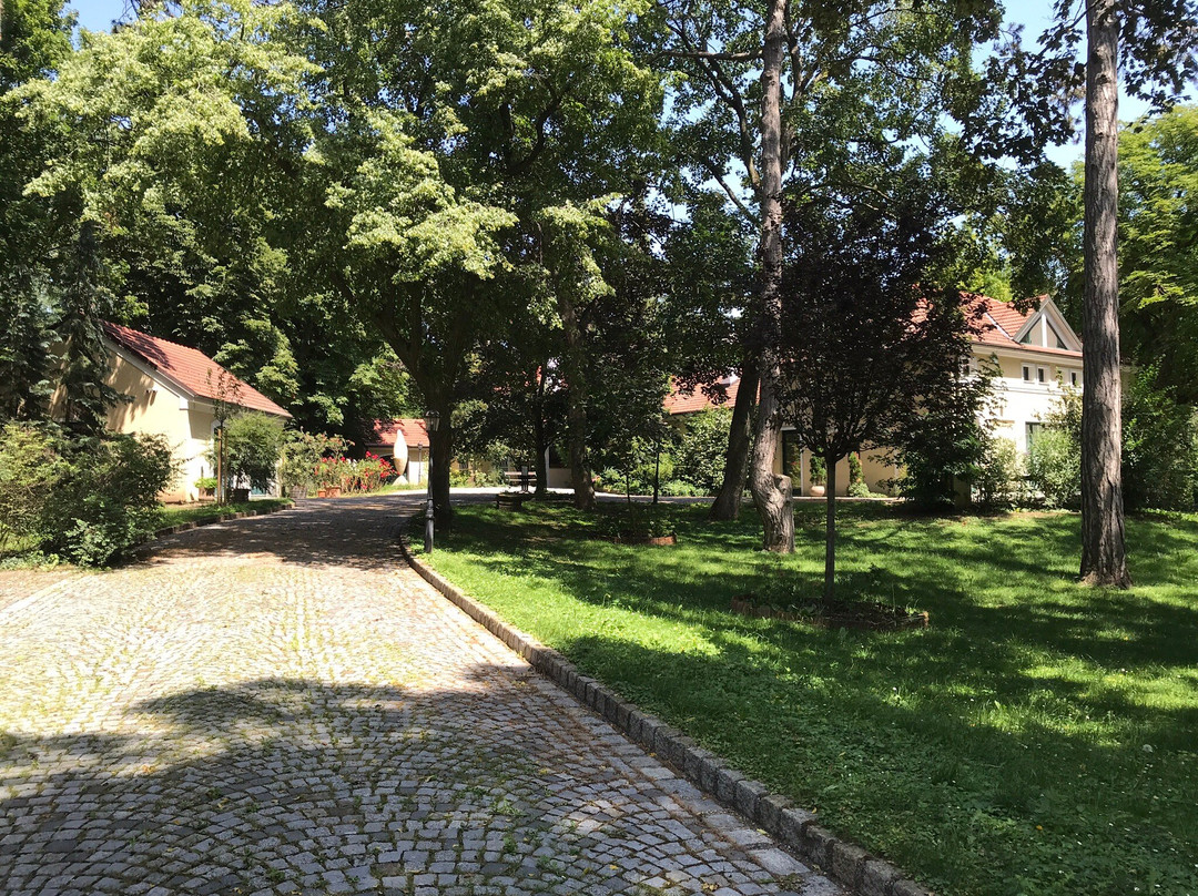 Infeld - Haus Der Kultur-Halbturn必去景点