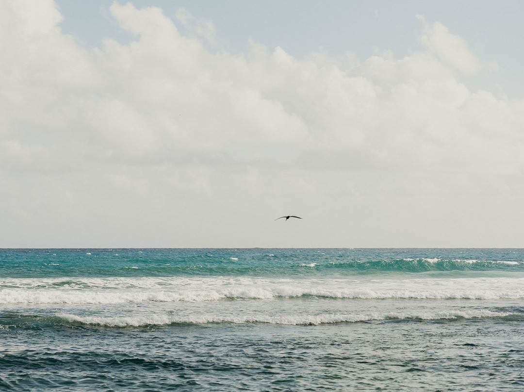 Grapetree Bay Hotel主图