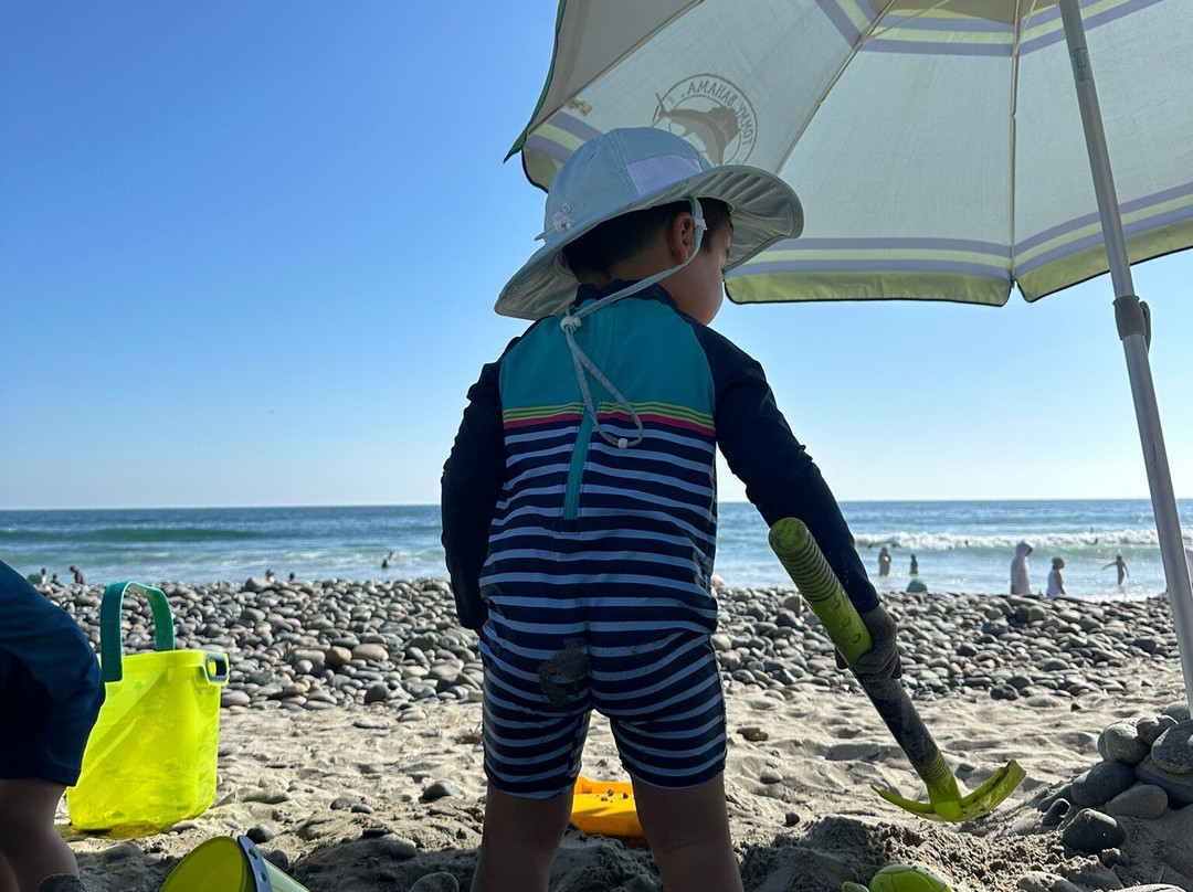 南加州海滩俱乐部主图