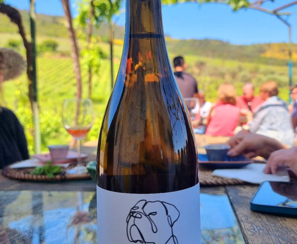 Quinta da Fonte do Milho景点图片