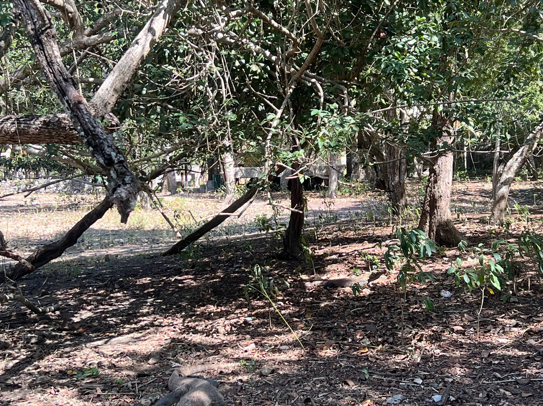 Komodo Trekker-Labuan Bajo必去景点