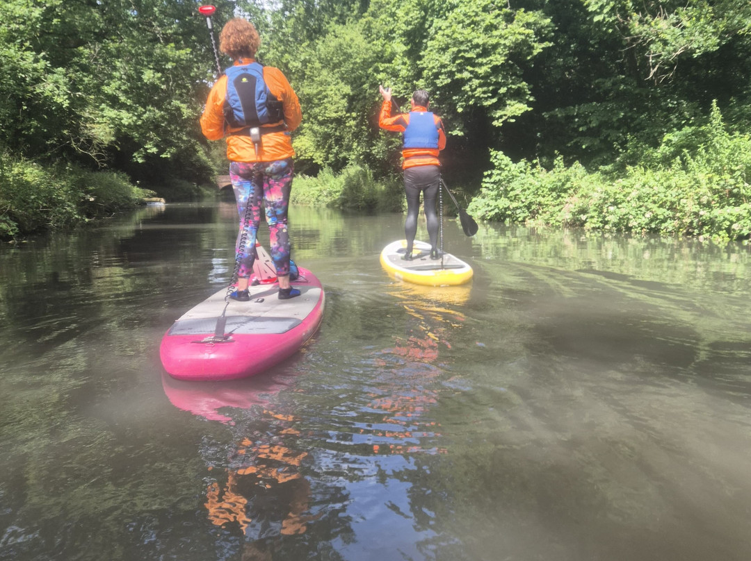 Paddle SUP Company景点图片