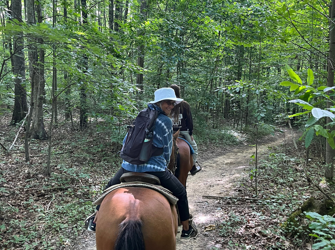 Equestrian Adventures-Fayetteville必去景点