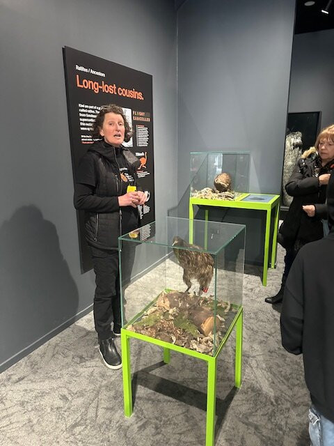 The National Kiwi Hatchery Aotearoa-罗托鲁瓦必去景点