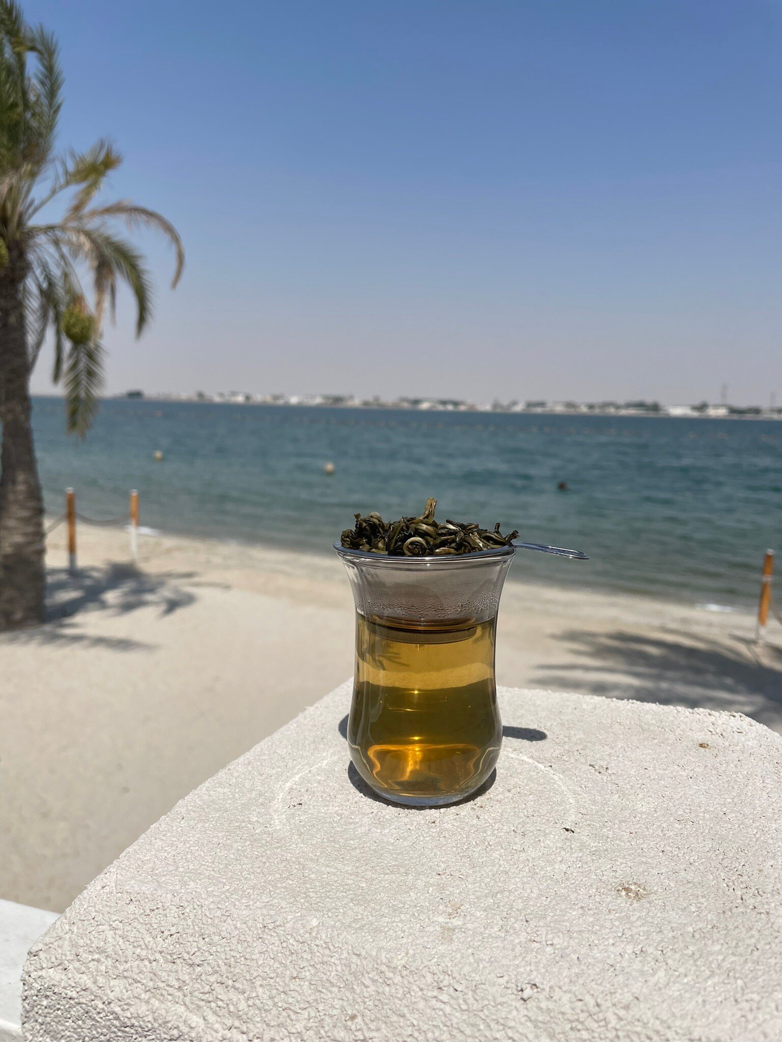 Dana Beach Resort-官方
