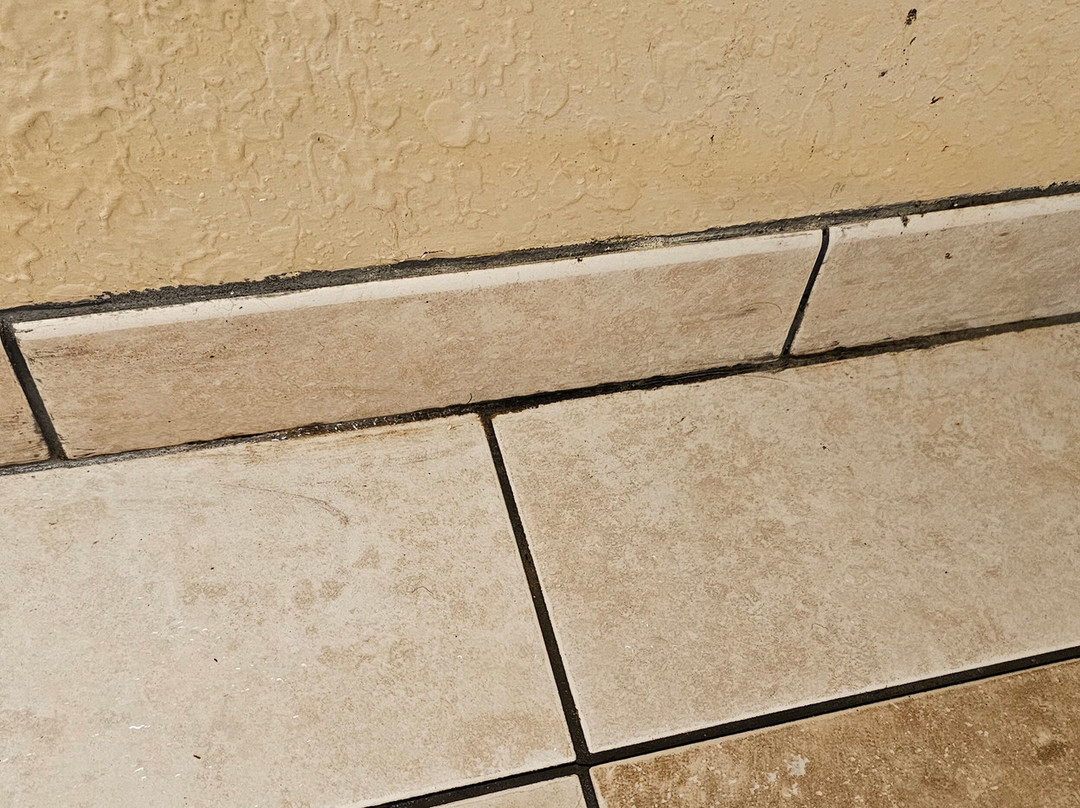 温德姆贾斯珀麦客达套房酒店主图