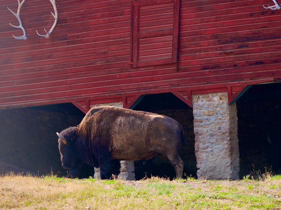 Kendrick Park-谢里登必去景点