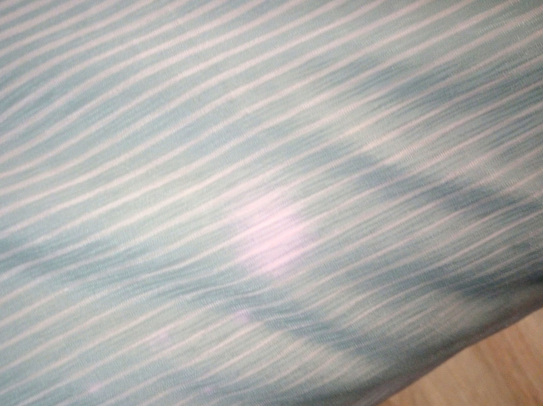 Quality Inn & Suites Redwood Coast主图