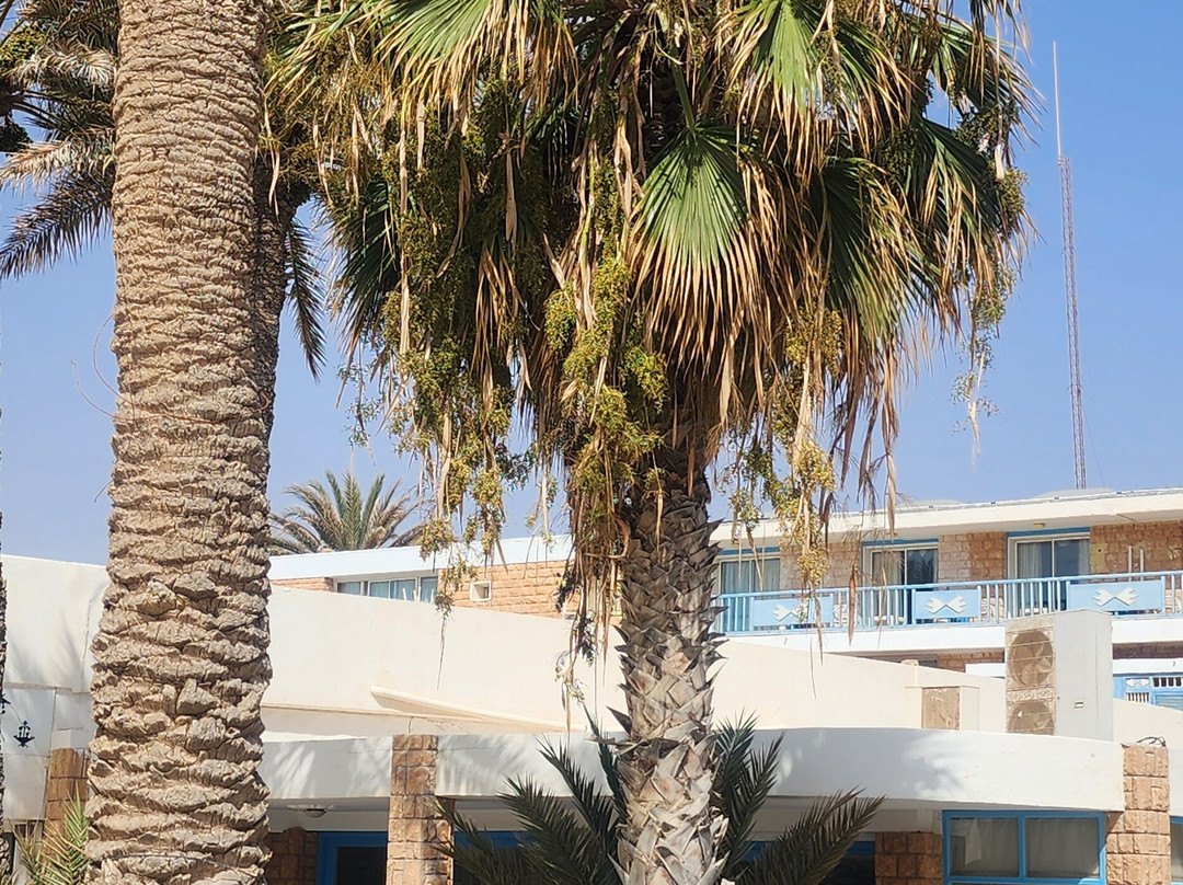 Hotel l'Oasis Gabes主图