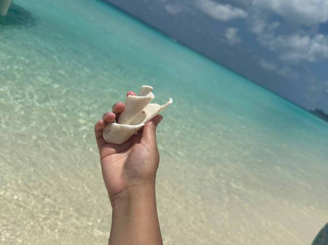 Bimini Cove Resort & Marina主图