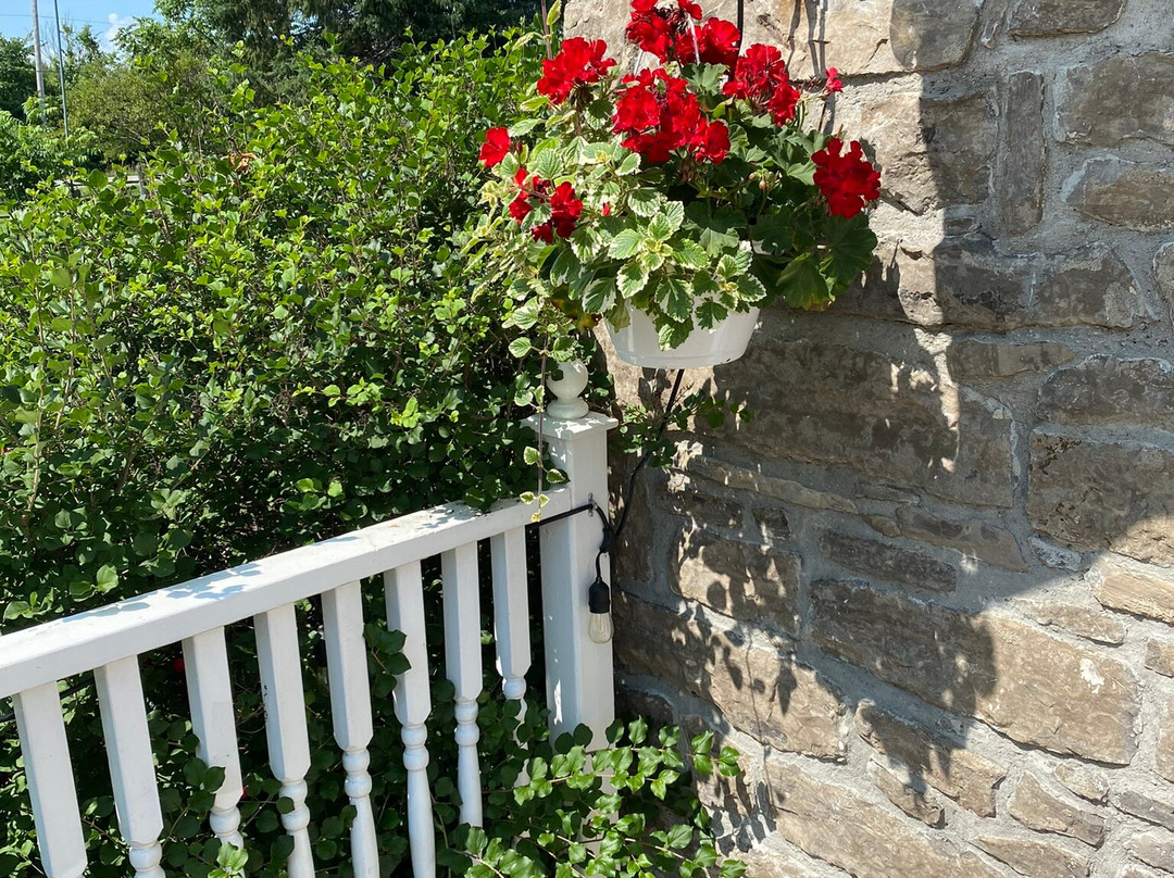 Enduring Heart Bed and Breakfast Inc.主图