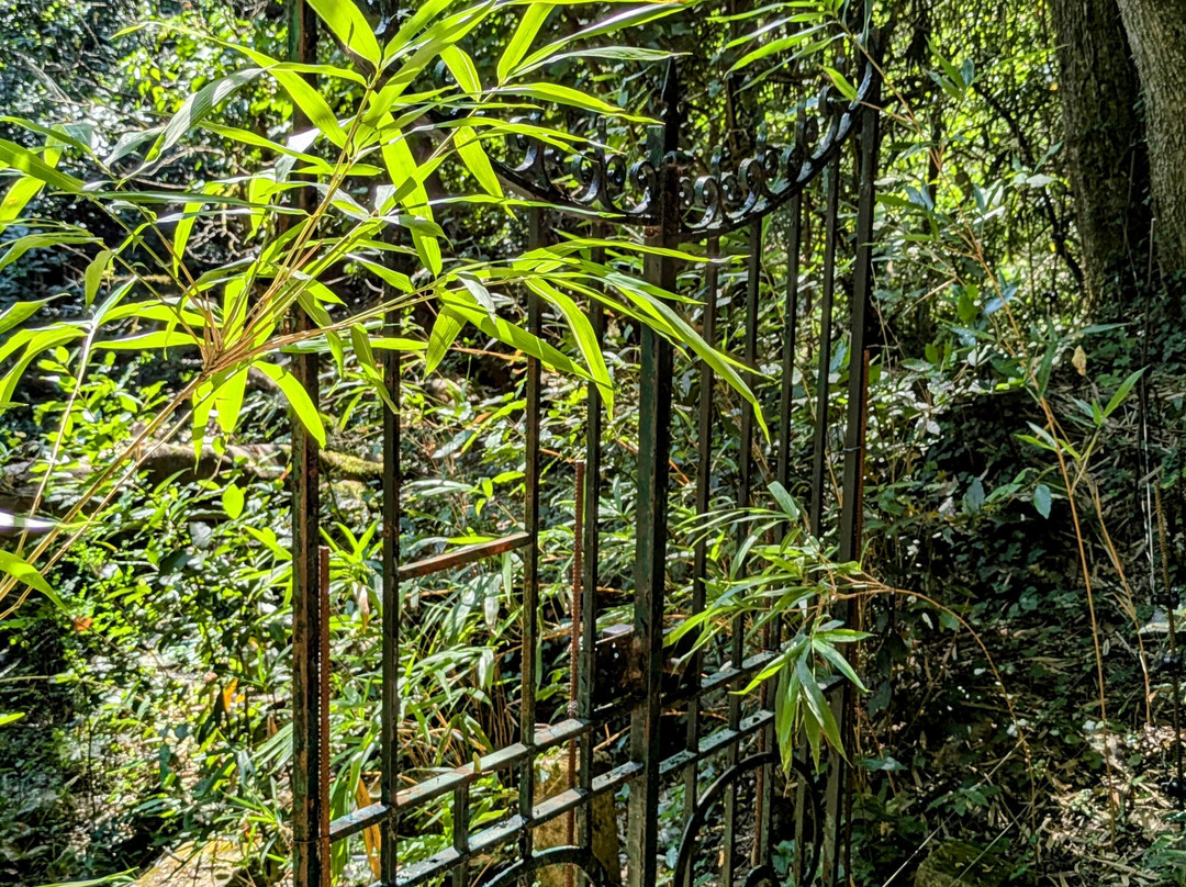 Le Jardin Les Bambous du Mandarin景点图片