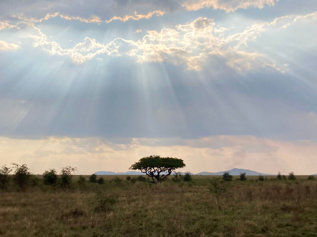 Sopai Safaris-阿鲁沙必去景点