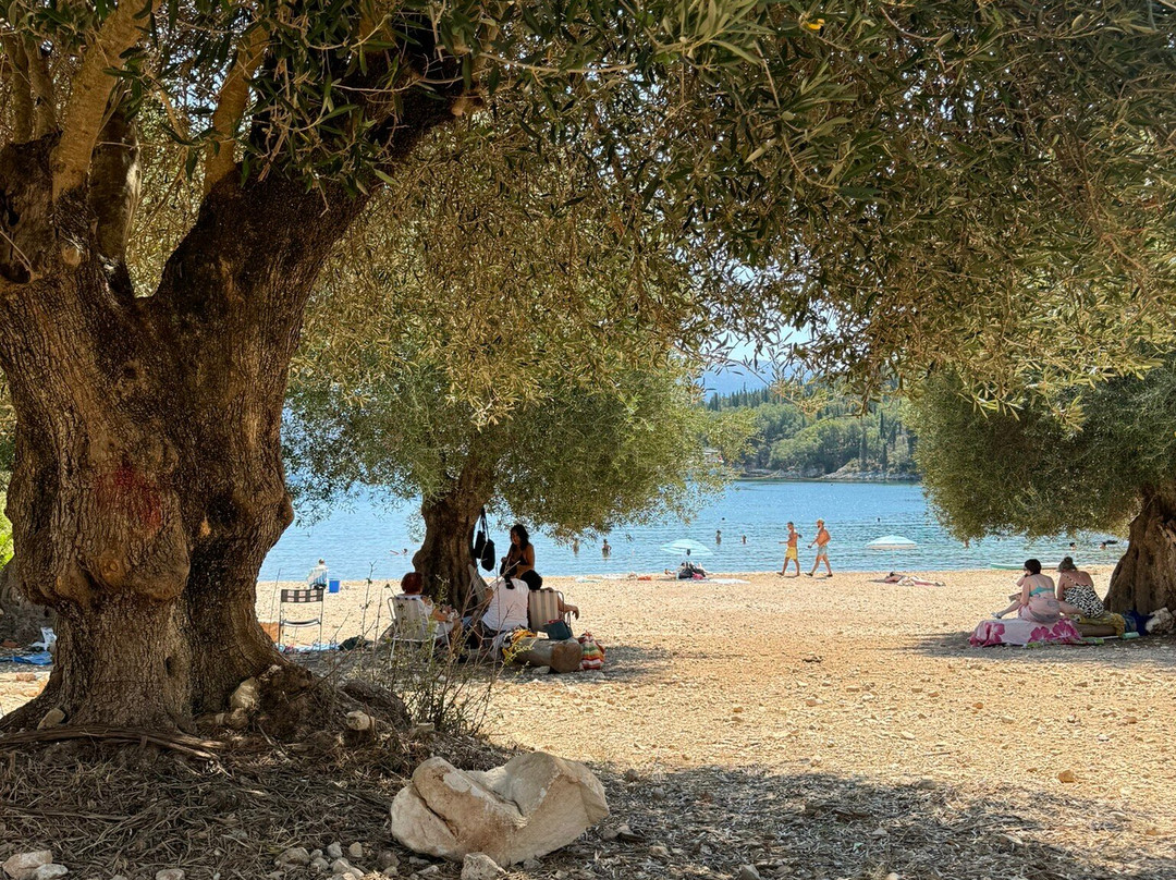 Foki Beach-凯法利尼亚岛必去景点