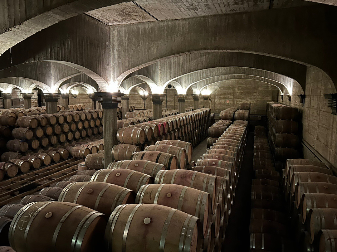 Bodegas Vina Ijalba S.A.-洛格罗尼奥必去景点