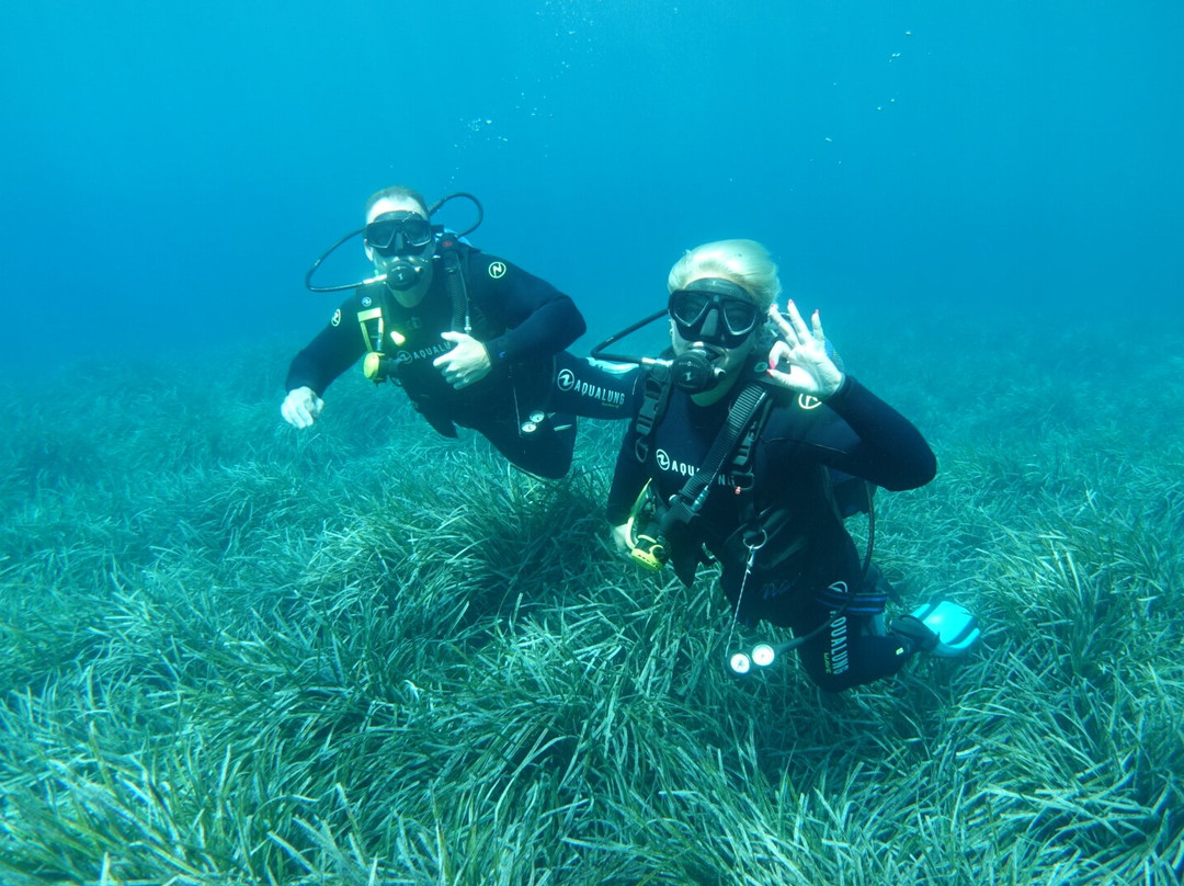 Utina Diving-Xlendi必去景点