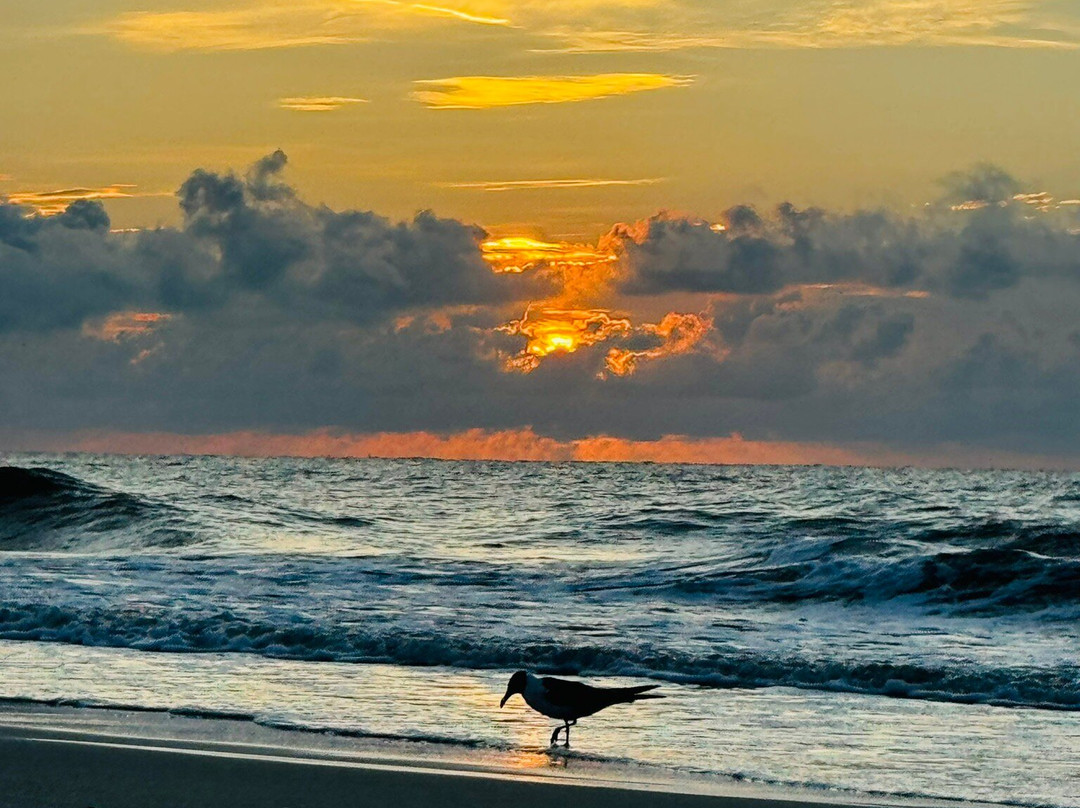 Beachview Inn And Spa主图