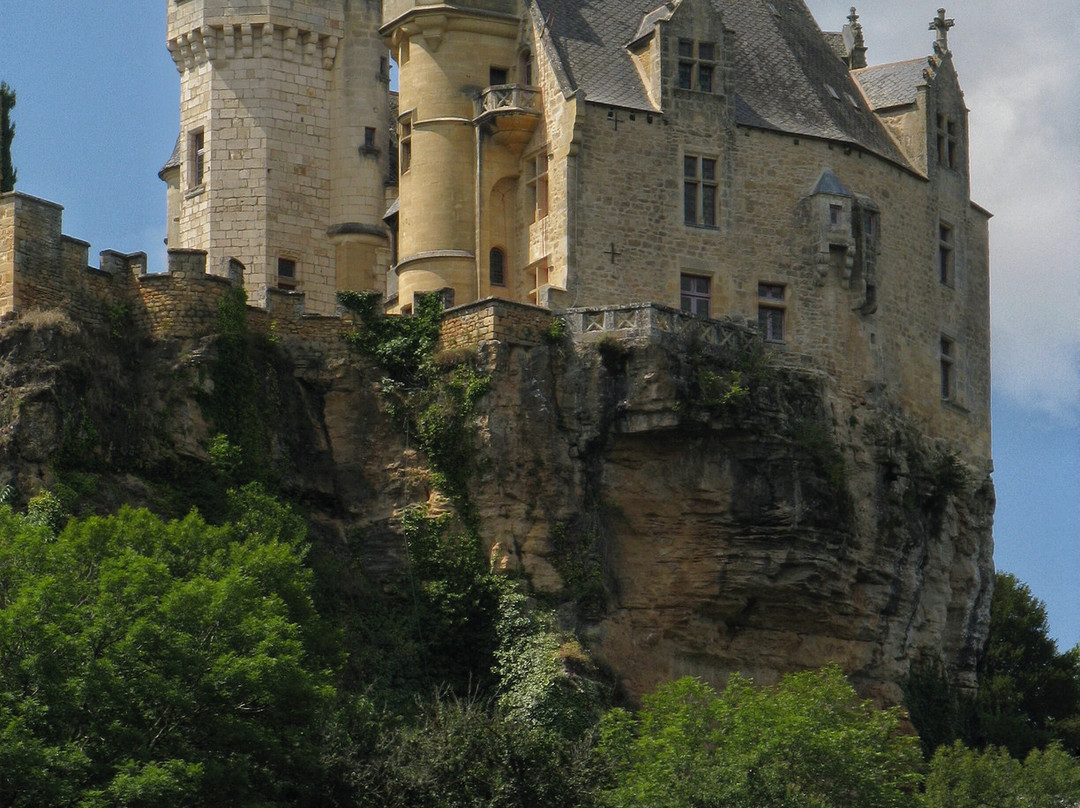 Chateau de Montfort景点图片