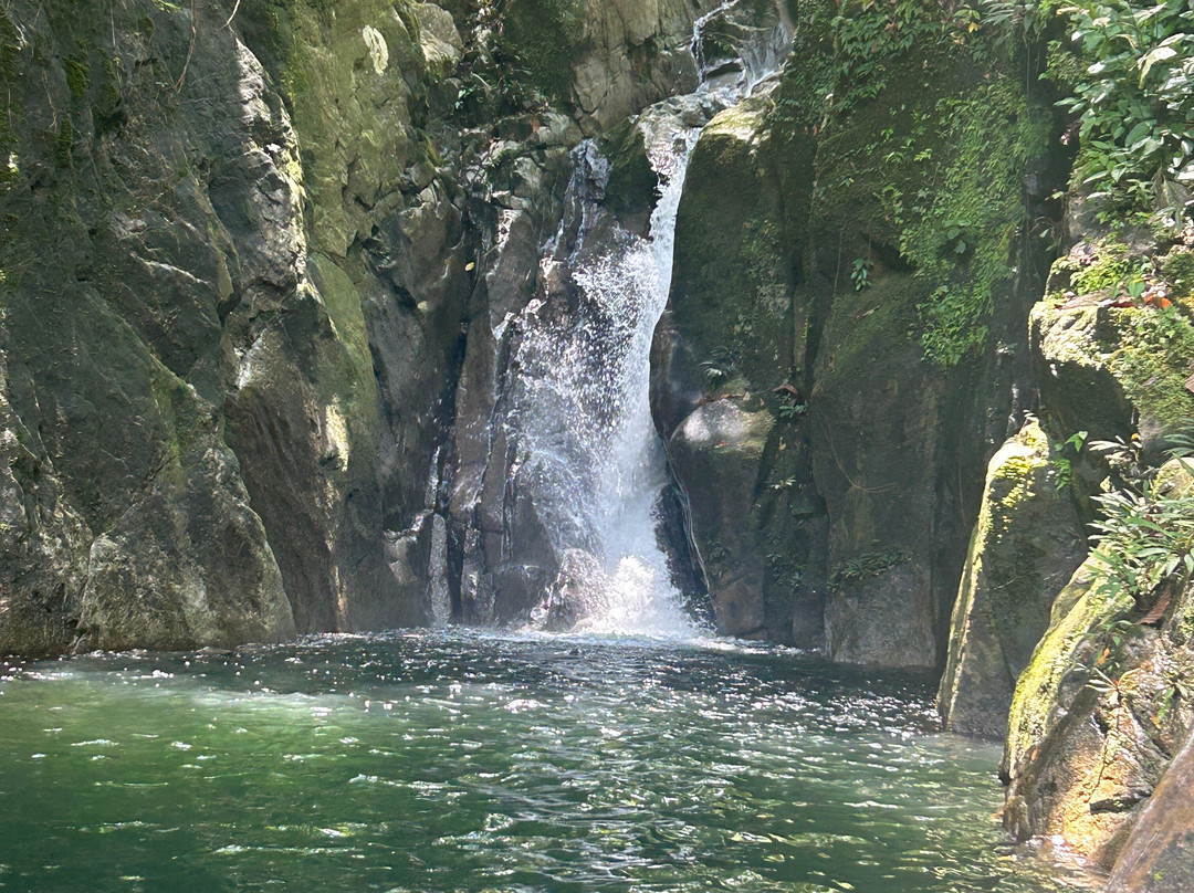 Gunung Gading National Park-隆杜必去景点