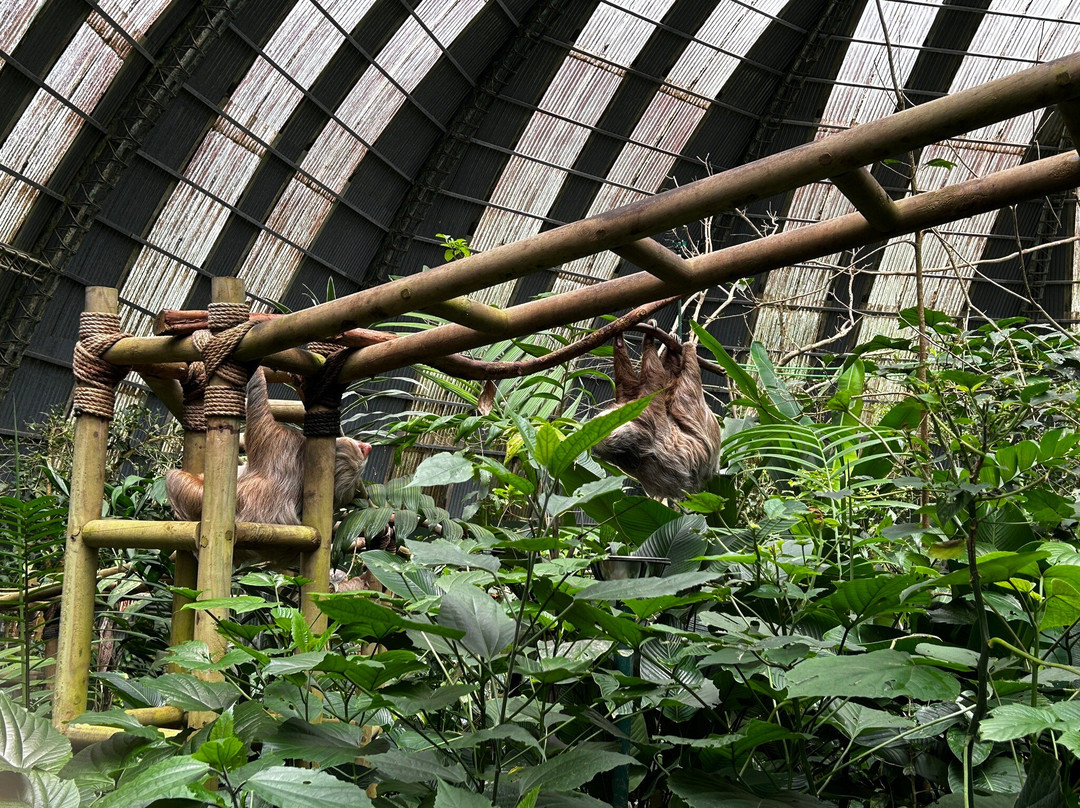 Tuanis Adventures-大滩必去景点