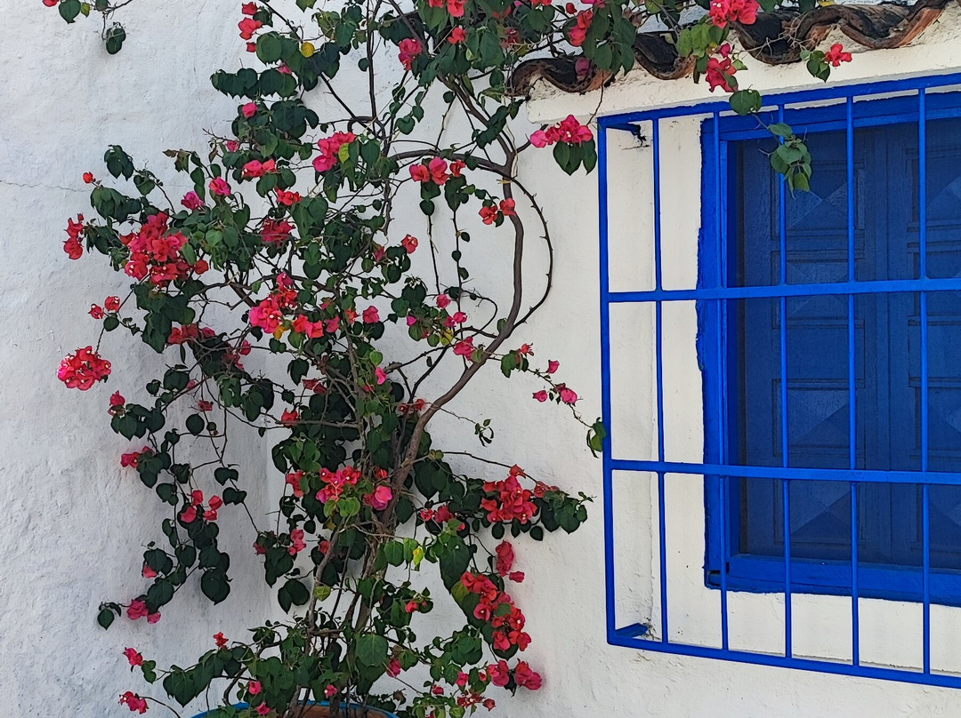 Santorini Colombiano-Puerto Triunfo必去景点