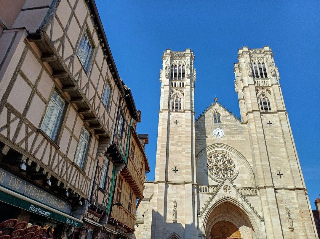 Cathédrale Saint Vincent-索恩河畔沙隆必去景点