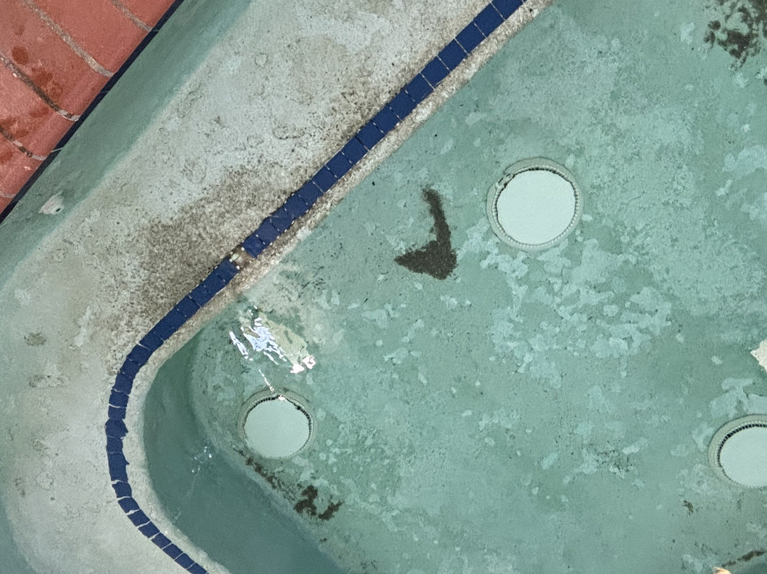 Staybridge Suites Rocklin - Roseville Area by IHG主图