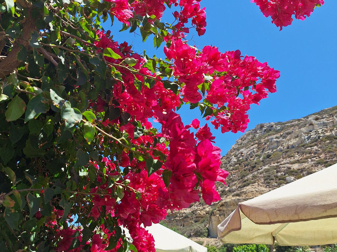 Fragiskos Hotel主图