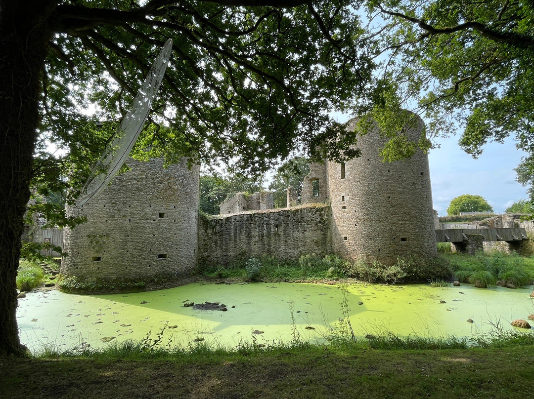 Château de Ranrouët景点图片
