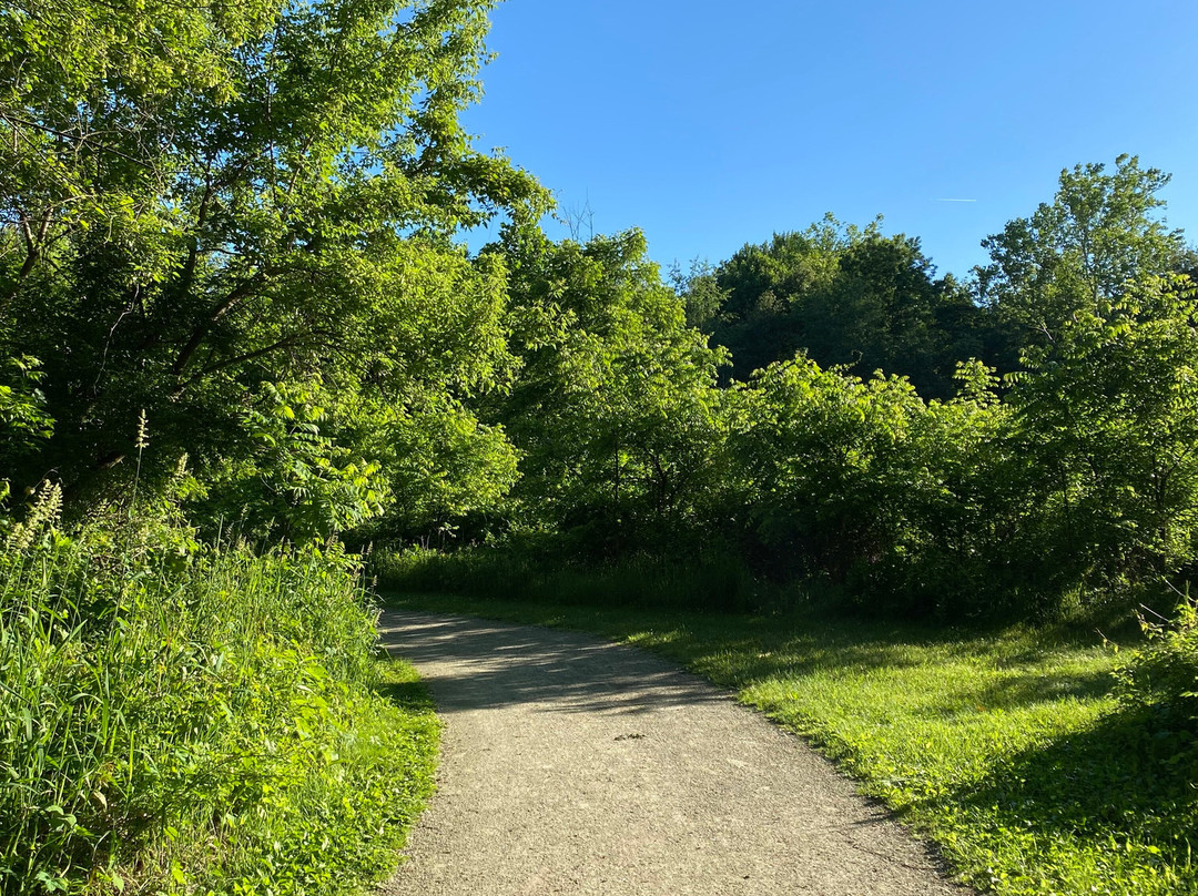 Wildwood Metropark-托莱多必去景点