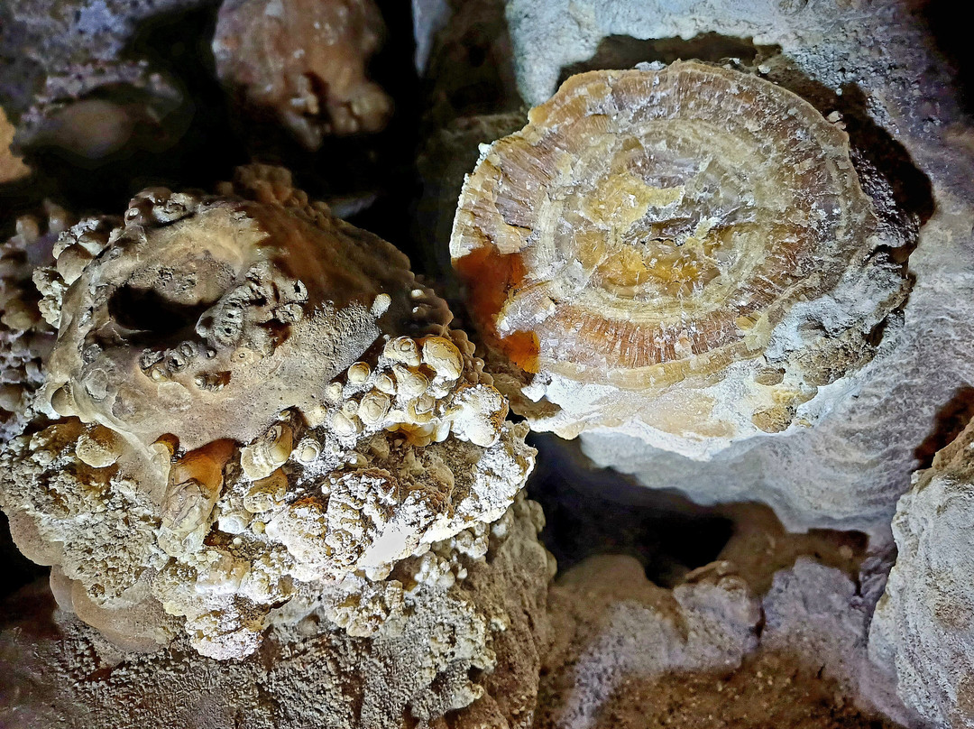 Grotta del Trullo景点图片