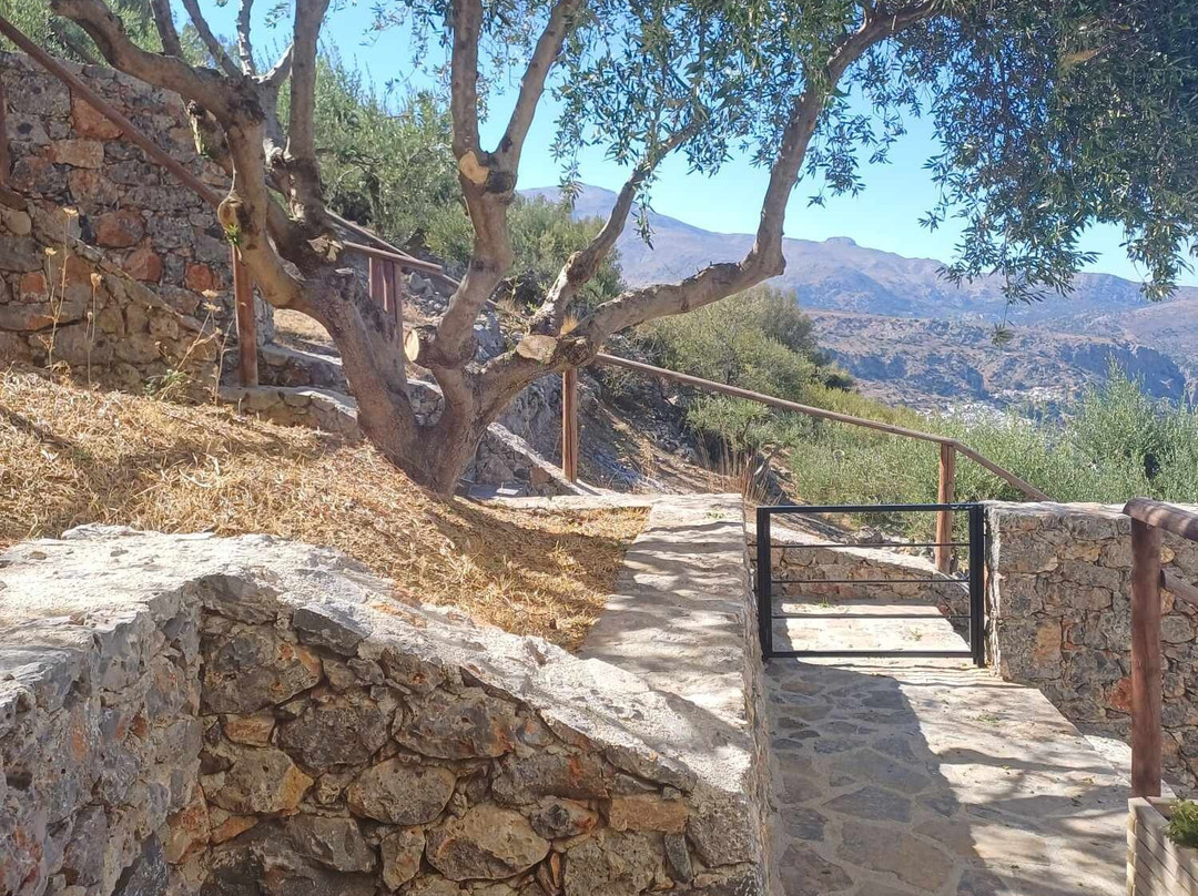 Villa Dio Petres主图