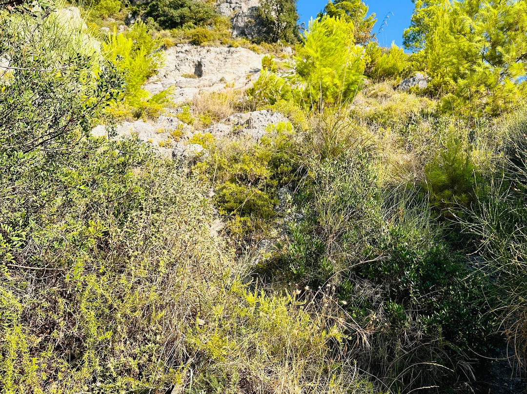 Passeggiata dell'Amore景点图片