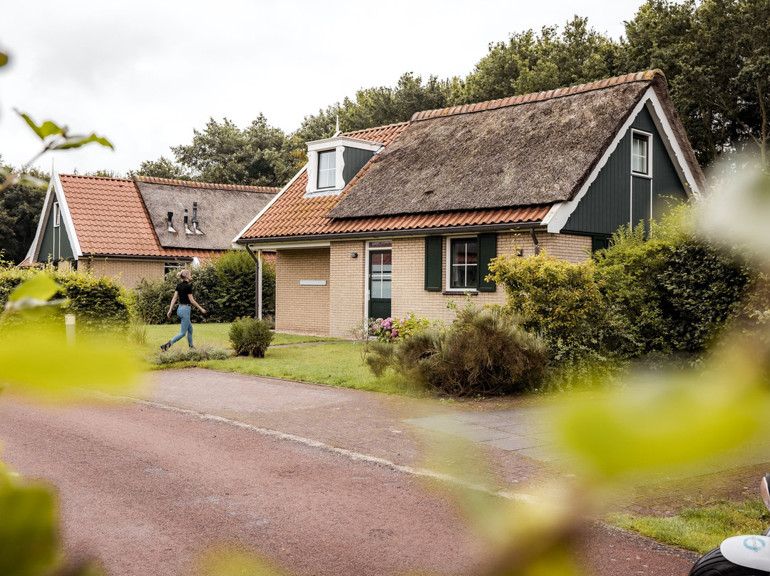 Roompot Kustpark Texel主图