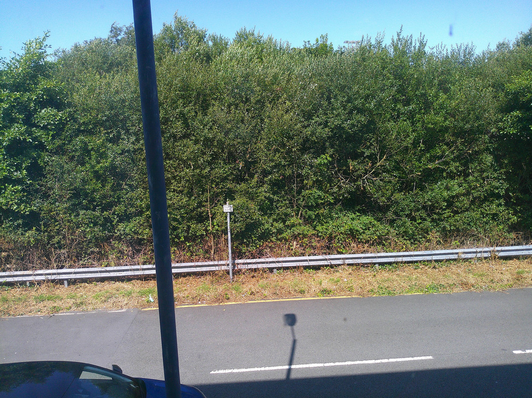 Starling Cloud by Marston's Inns主图