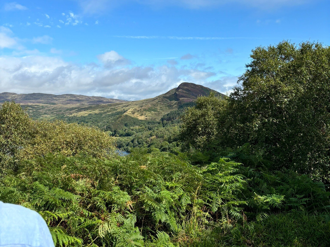 Inchcailloch景点图片