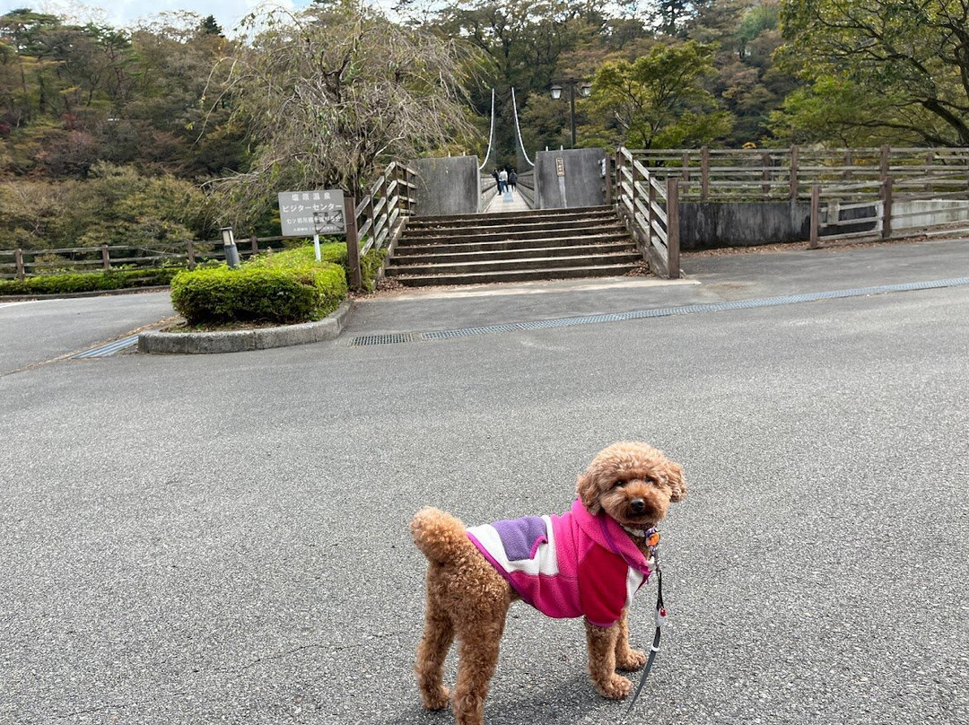 Nanatsuiwa Suspension Bridge-那须盐原市必去景点