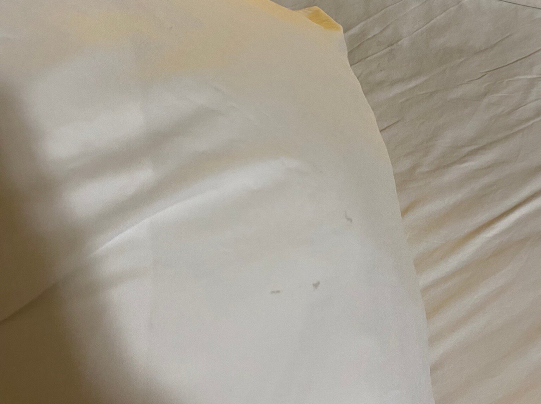 贝斯特韦斯特山区旅馆主图