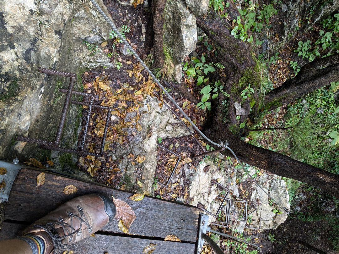 Dovzan Gorge-特尔日奇必去景点