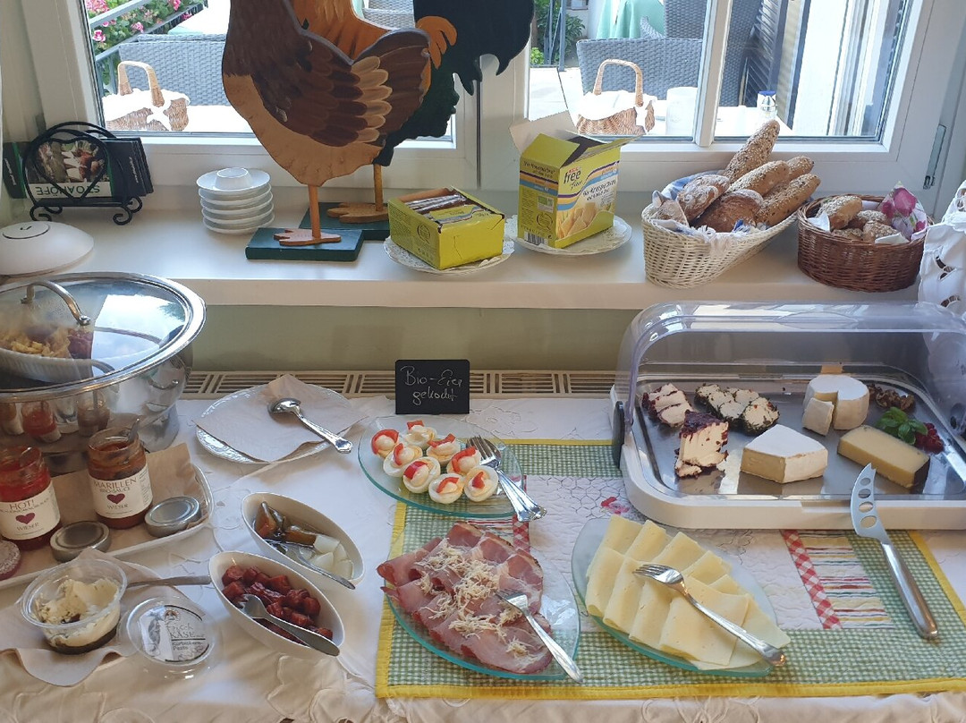 加尔尼多瑙河花园酒店主图