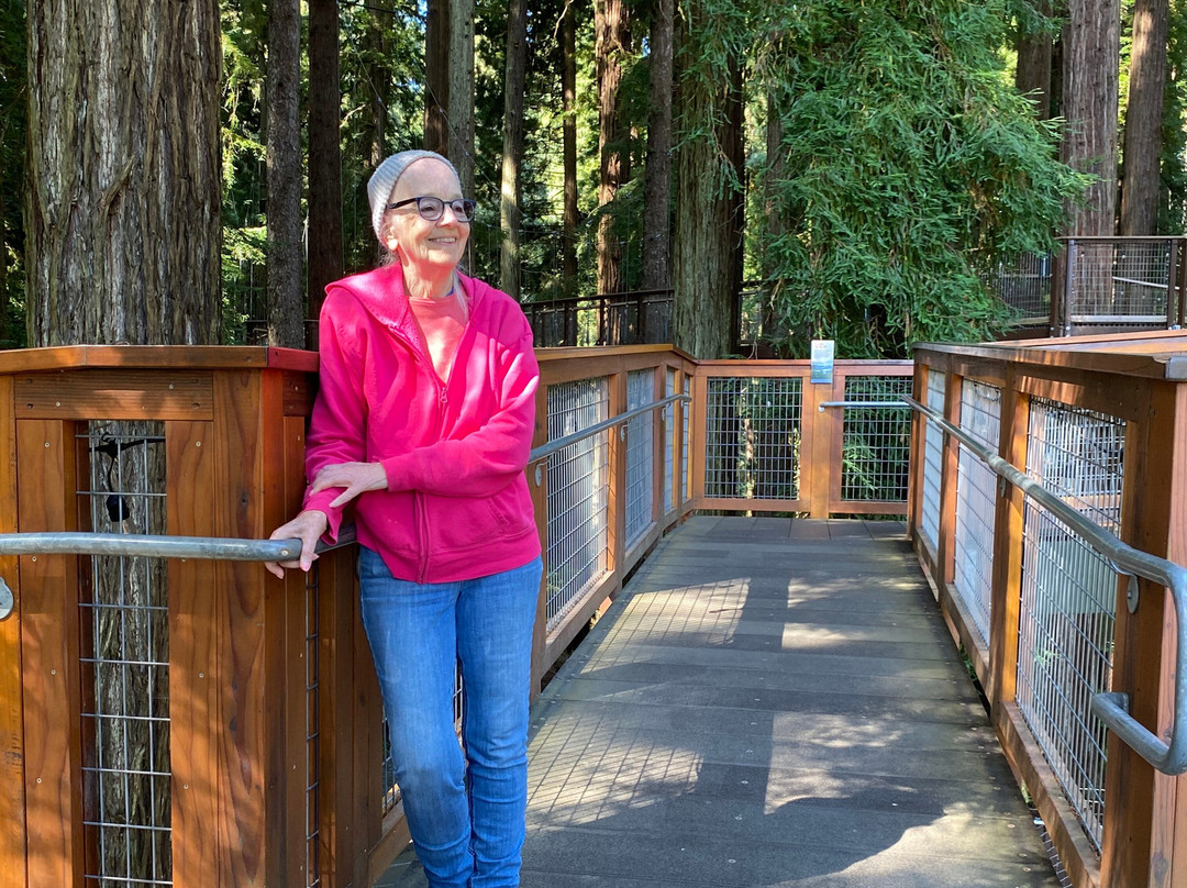 The Redwood Sky Walk景点图片