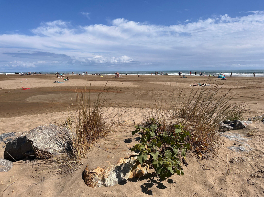 Plage des Chalets-Gruissan必去景点